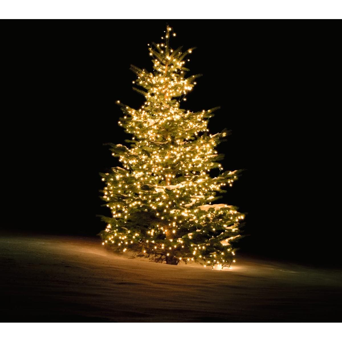 Deltaco Smart LED Weihnachtsbaum-Lichterkette mit 300 LEDs, Farbe