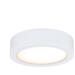 Paulmann Clever Connect LED Spot Disc Tunable White 3x2,1W 12VA, weiß matt (99975)