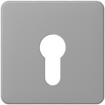 Jung CD525GR Abdeckung für Schlüsselschalter, grau