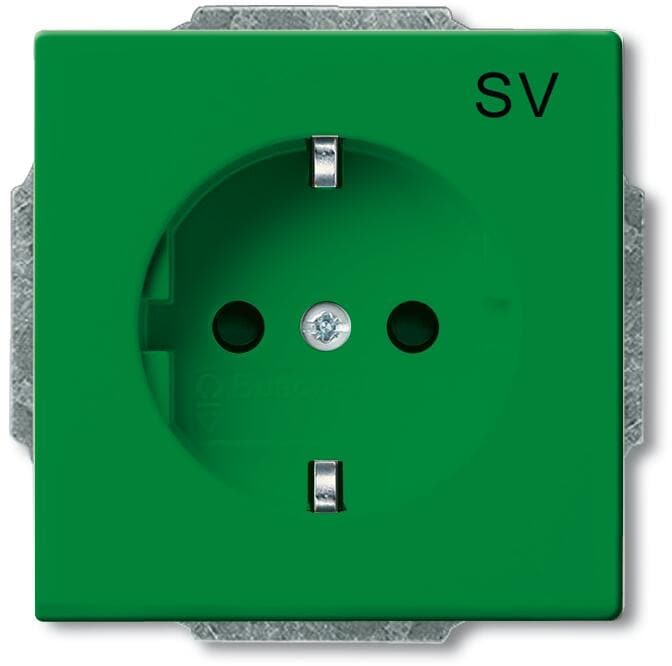 Busch-Jaeger 20 EUC-13-82-101 SCHUKO Steckdosen-Einsatz mit Aufdruck, Solo, grün (2CKA002011A6260)