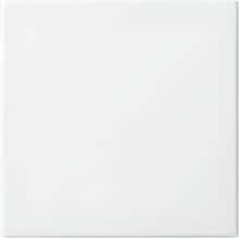 Busch-Jaeger 6735 BT-914 Wippe für Dimmer, Busch-balance SI, weiß (2CKA006730A0151)