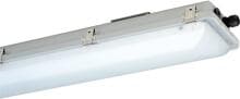 Schuch ExeLED 2 nD866F 12L85 EX-LED-Wannenleuchte, 54W, 8620lm, 5000K, grau (866000002)