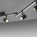 Paul Neuhaus LED Deckenlampe, 6 flammig, mit LED Board, drehbar, Memoryfunktion, schwarz (6526-18)