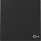 Gira 3287005 Wippe mit Symbol Tür, 1fach, System 55, Schwarz matt (lackiert)