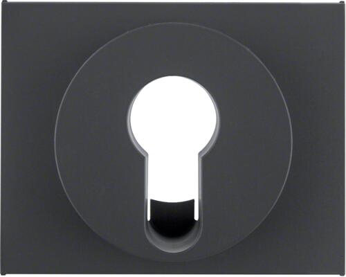 Berker 15057006 Zentralstück für Schlüsselschalter/-taster, K.1, anthrazit matt, lackiert