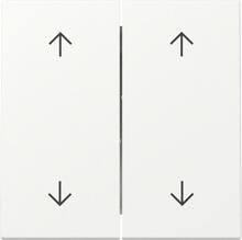 Gira 329727 Wippe mit Pfeilsymbolen, 2fach, System 55, Reinweiß seidenmatt (lackiert)