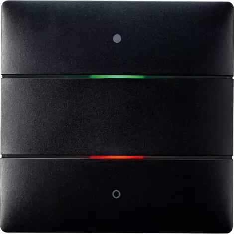 Theben LUXORliving iON2 BK Tastsensor 2 Tasten, 2 LEDs, Integrierter Temperatursensor, schwarz, Smart Home 4801412