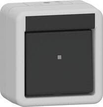 Gira 310530 Wippschalter, 10 AX, 250 V~, Kreuzschalter, IP44, grau