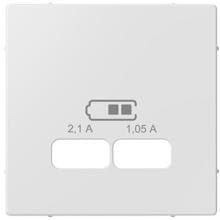 Merten MEG4367-0325 Zentralplatte für USB Ladestation-Einsatz, System M, aktivweiß glänzend