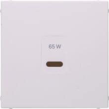 Berker 48601909 Zentralstück für USB Serie B.1, polarweiß matt