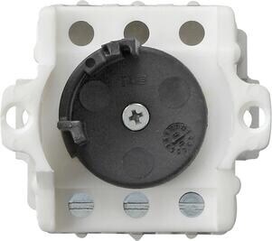 Gira 143500 Einsatz Schlüsselschalter, 10 AX, 250 V~, Taster, 1-polig, Wassergeschützt Aufputz