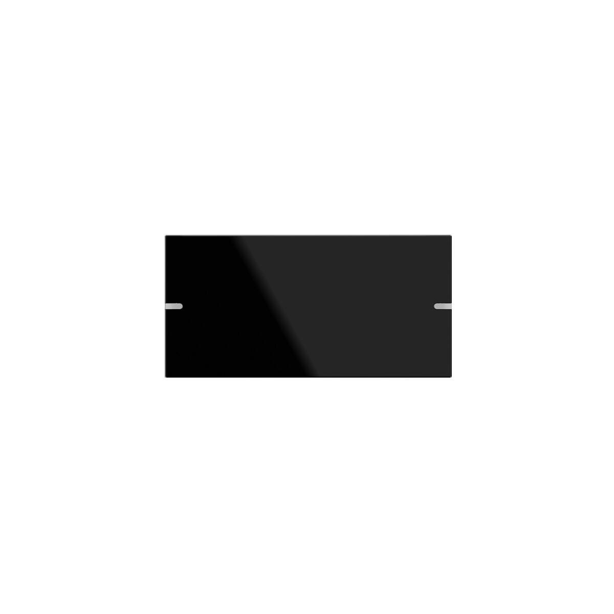 Gira 833205 Wippe, 2fach, für Tastsensor 4, Glas schwarz