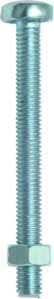 Protec.class PSGSK 4x10 mm, Gewindeschrauben inklusive Mutter (05103194), 10 Stck.