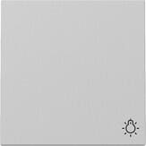 Gira 3285015 Wippe mit Symbol Licht, 1fach, System 55, grau matt (lackiert)