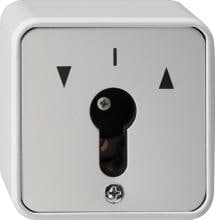 Gira 014430 Schlüsselschalter 10 A 250 V~ für alle DIN-Profil-Halbzylinder Tast-Rastschalter 2polig, Aufputz IP 44, grau