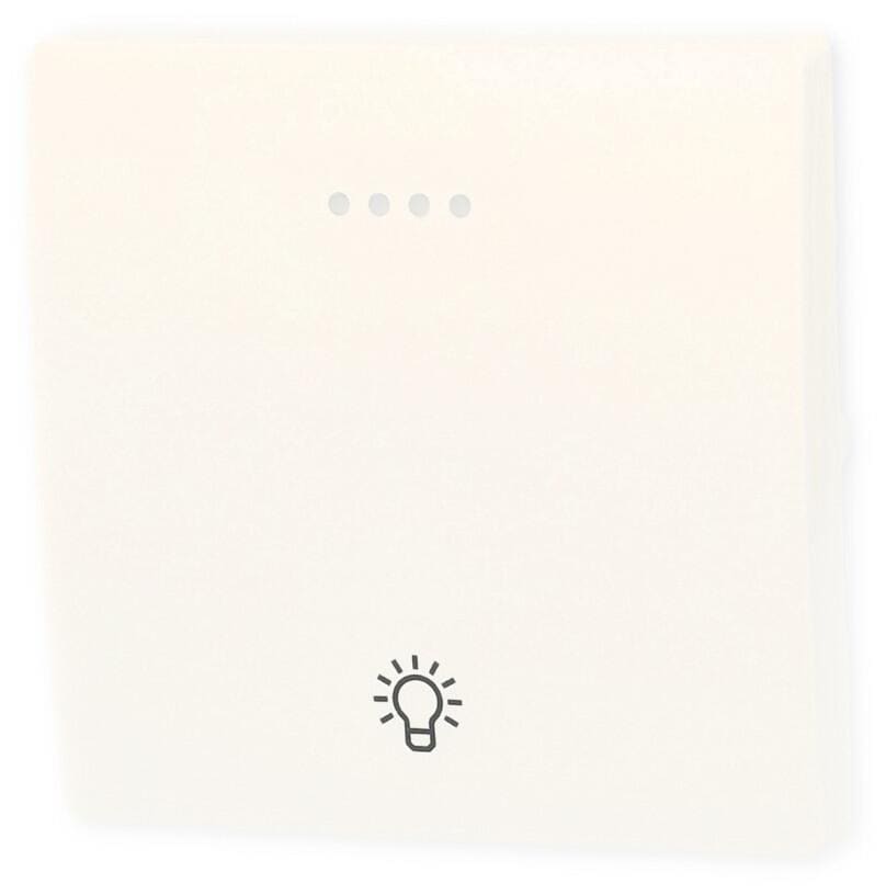Siemens DELTA style Wippe mit Fenster, mit Symbol Licht, titanweiß (5TG7146)