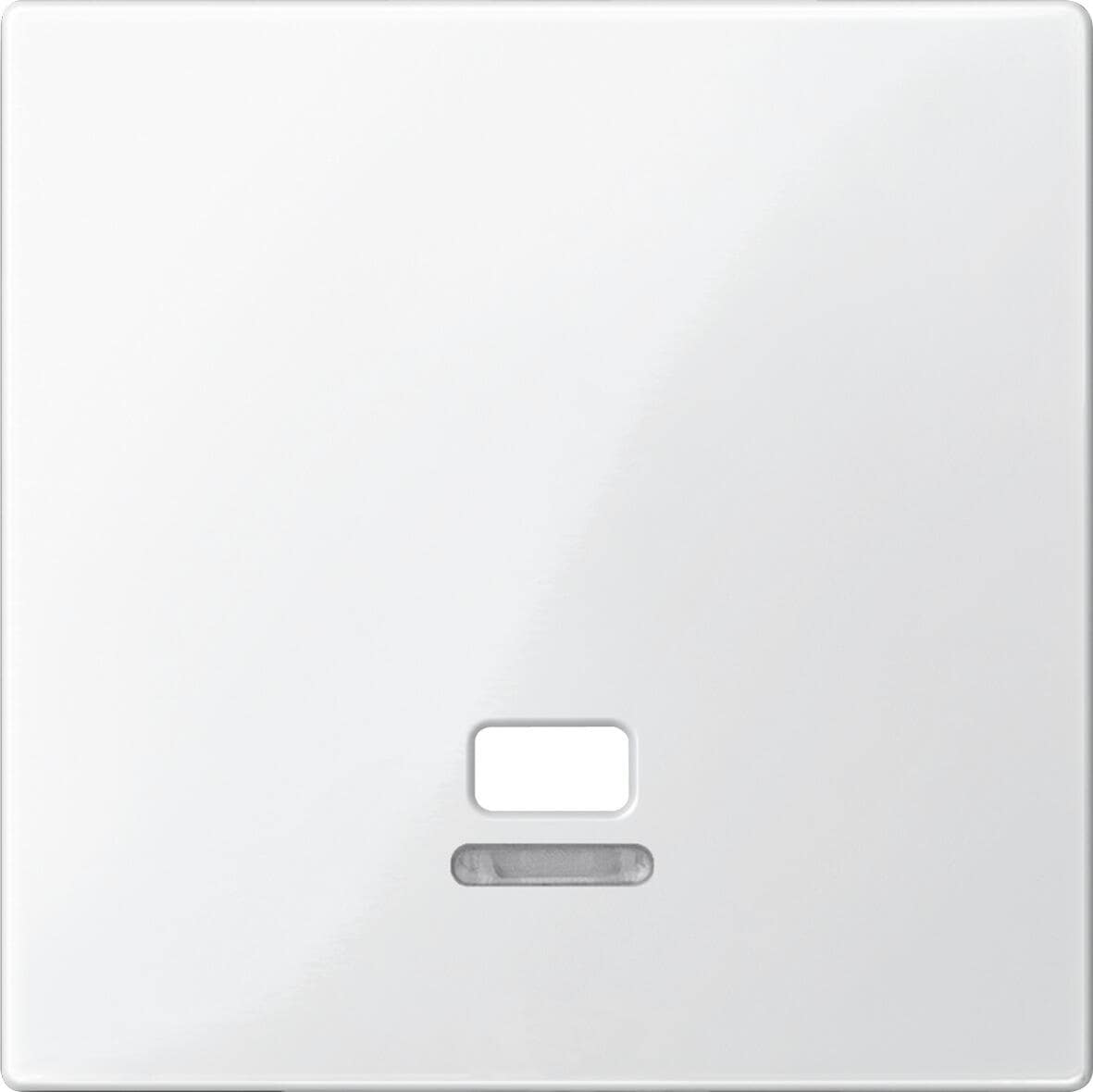 Merten MEG3380-0319 Zentralplatte mit Kontrollfenster für Zugschalter, System M, Polarweiß glänzend