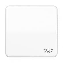 JUNG CD590BFLWW Wippe mit Symbol "Licht", alpinweiß