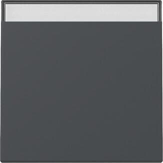 Gira 329928 Wippe mit Beschriftungsfeld, 1fach, System 55, Anthrazit (lackiert)