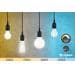 Paulmann Smart Home Zigbee LED Birne LED Globe E27 806lm 7W, Tunable White, dimmbar, opal (50396)