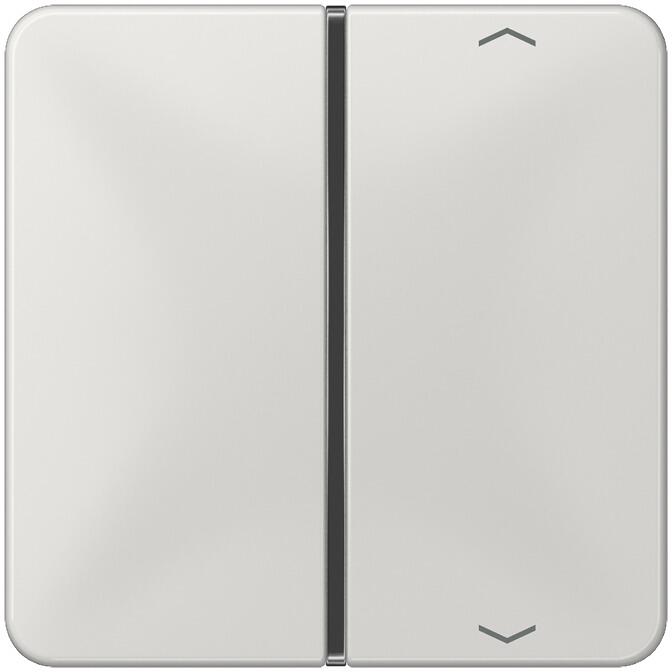 Taste 1fach mit Symbolen, lichtgrau, CD 500 & CD plus, Jung CD401TSAPLG