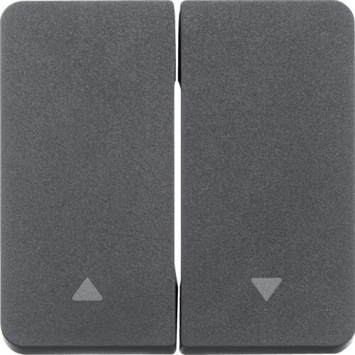 Berker 30753535 Wippe, 2fach, mit Aufdruck Symbol Pfeil, W.1, grau matt