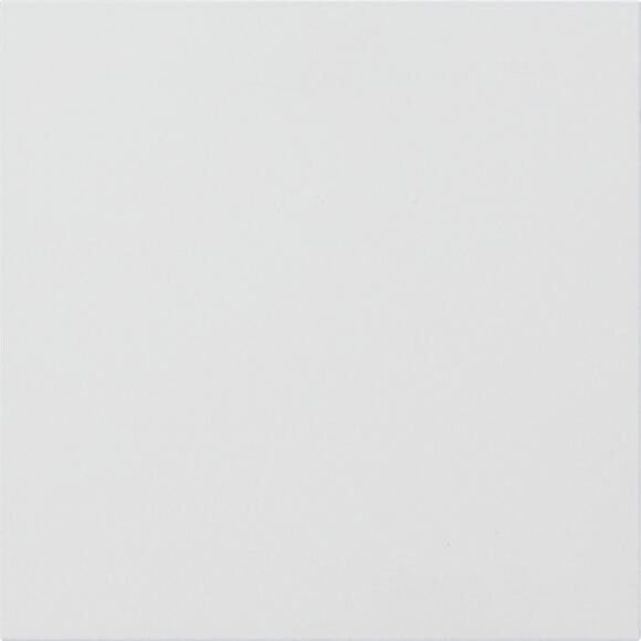 Gira 5554902 Info-Modul bzw. Blindmodul 4fach, System 106, verkehrsweiß (lackiert)