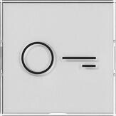 Gira 321800 Wippe mit Symbol "Tür" und großem Beschriftungsfeld, 1fach, System 55, Farbneutral