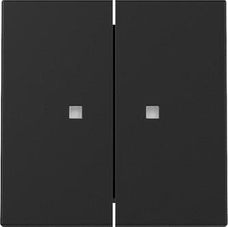 Gira Wippe mit Kontrollfenster, 2fach, System 55, schwarz matt lackiert (3631005)