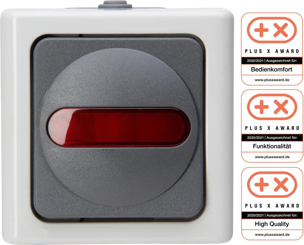 Kopp Kontrollschalter, Blue Electric, Grau (561656007)