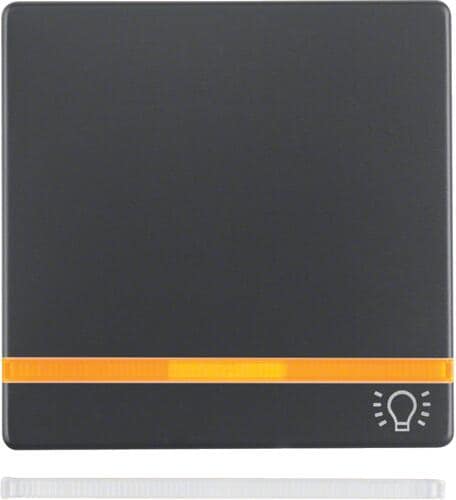 Berker 16216076 Wippe mit 2 beiliegenden Linsen und Aufdruck Symbol Licht, Q.x, anthrazit samt