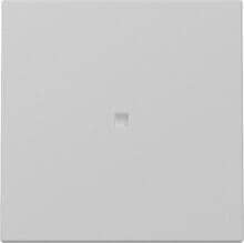 Gira 3290015 Wippe mit Kontrollfenster, 1fach, System 55, grau matt (lackiert)