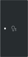 Busch-Jaeger 6234-22-45M Wippe, art-linear, 2-fach, rechts, Symbol Dimmer, schwarz matt (2CKA006220A0963)