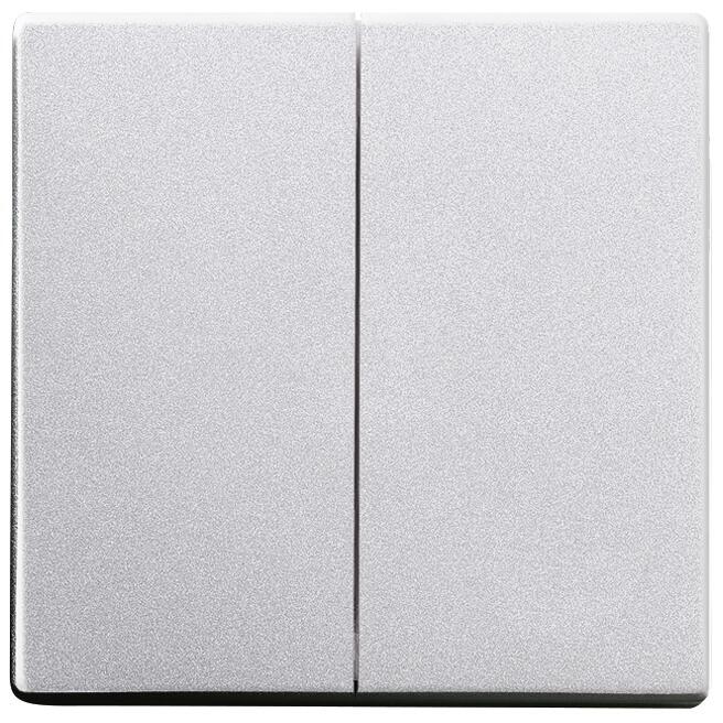 Busch-Jaeger 6736 FoH-83 Wippe, Busch-dynasty, Zigbee Friends of Hue, alusilber (2CKA006730A0135)