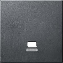 Zentralplatte mit Kontrollfenster für Zugschalter, Anthrazit matt, System M, Merten MEG3380-0414