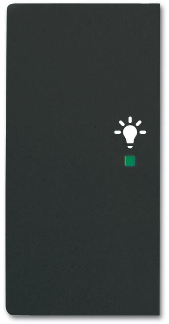 Busch-Jaeger 6231-21-885 Wippe future linear, 2-fach links, mit Symbol "Licht", schwarz matt (2CKA006220A0504)