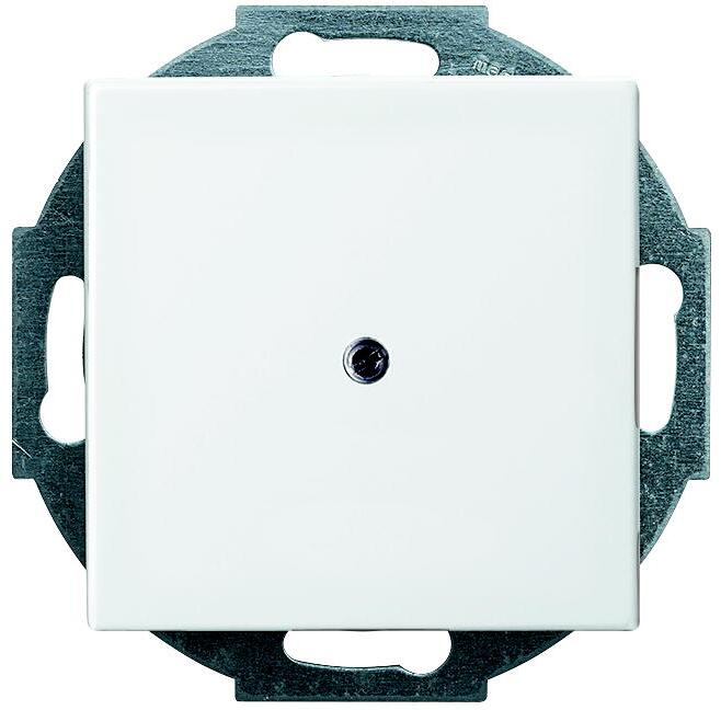 Busch-Jaeger 2527-914 Zentralscheibe, Busch-balance Si, alpinweiß (2CKA001710A4061)