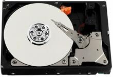 Burg Guard HDD-2000HV Erweiterungsfestplatte, 2TB SATA, 365/24/7 beschreiben geeignet (579505)