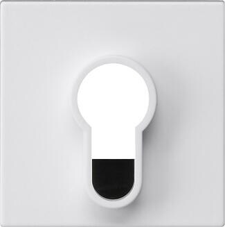 Gira 866427 Abdeckung für Schlüsselschalter und Schlüsseltaster unbedruckt, System 55, reinweiß seidenmatt