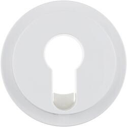 Berker 15072089 Zentralstück für Schlüsselschalter/-taster, R.1/R.3, polarweiß glänzend