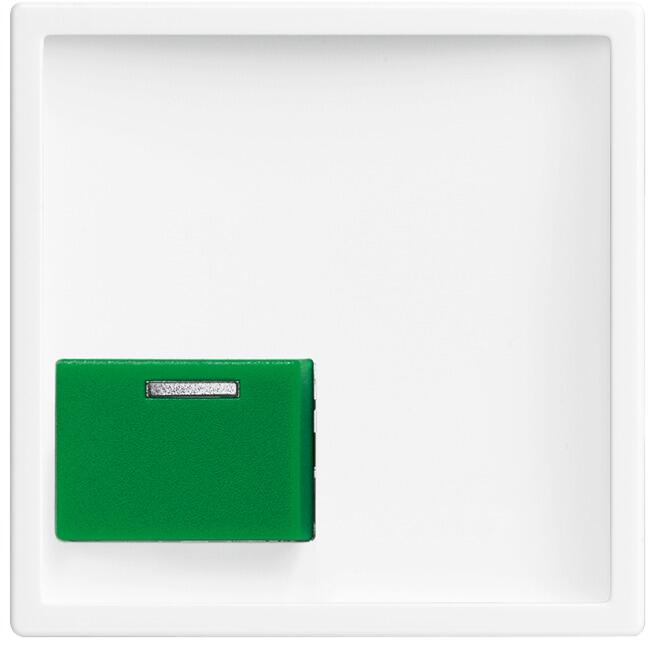 Busch-Jaeger 2548-642 C-84 Rufsystem Zentralscheibe future linear, weiß (2CKA001724A4395)