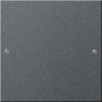 Gira 218128 Wippenset 1fach, Anthrazit (lackiert)