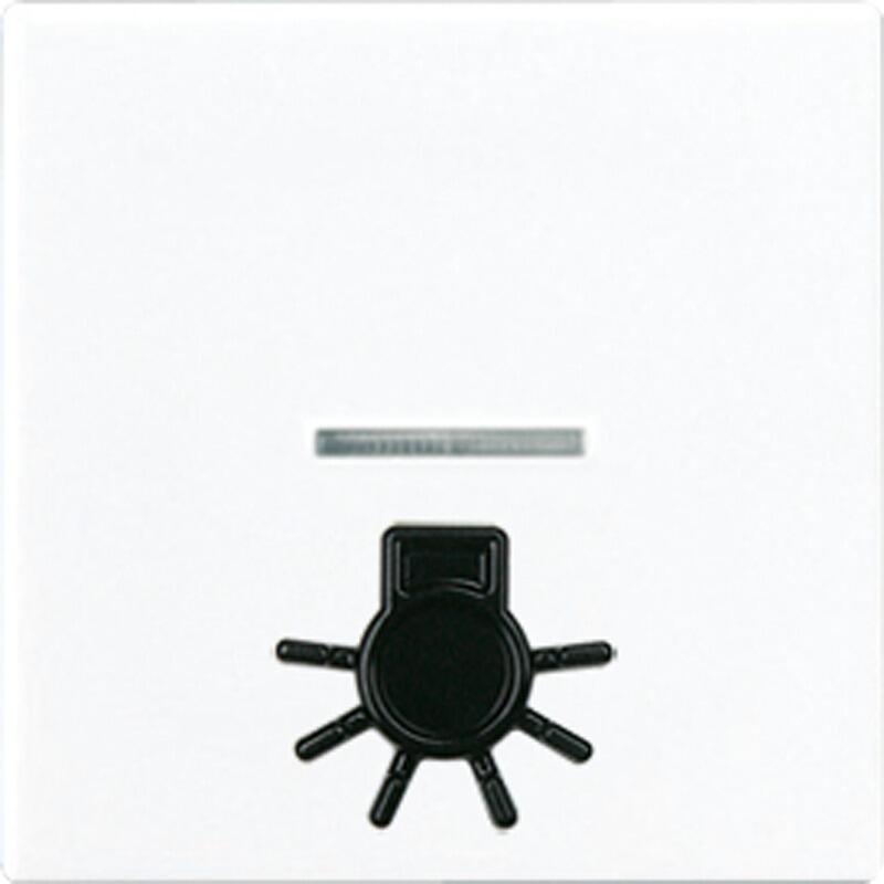 Jung A590L1KOWW Wippe mit abtastbarem Symbol "Licht", mit Lichtleite; Alpinweiß