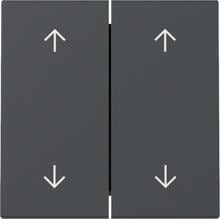 Gira 329728 Wippe mit Pfeilsymbolen, 2fach, System 55, Anthrazit (lackiert)