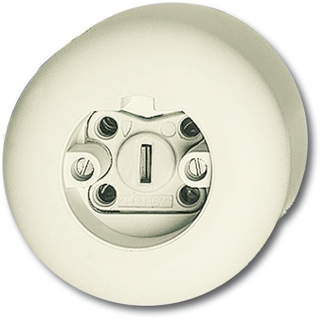 Busch-Jaeger 2365 JW Steckdose, Alu Druckguss, weiß (2CKA002550A0028)