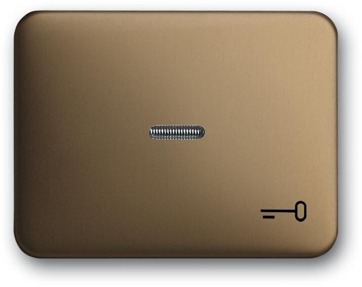 Busch-Jaeger 1789 TR-21 Wippe mit Aufdruck und kleiner transparenter Kalotte, Busch alpha, bronze (2CKA001751A1740)