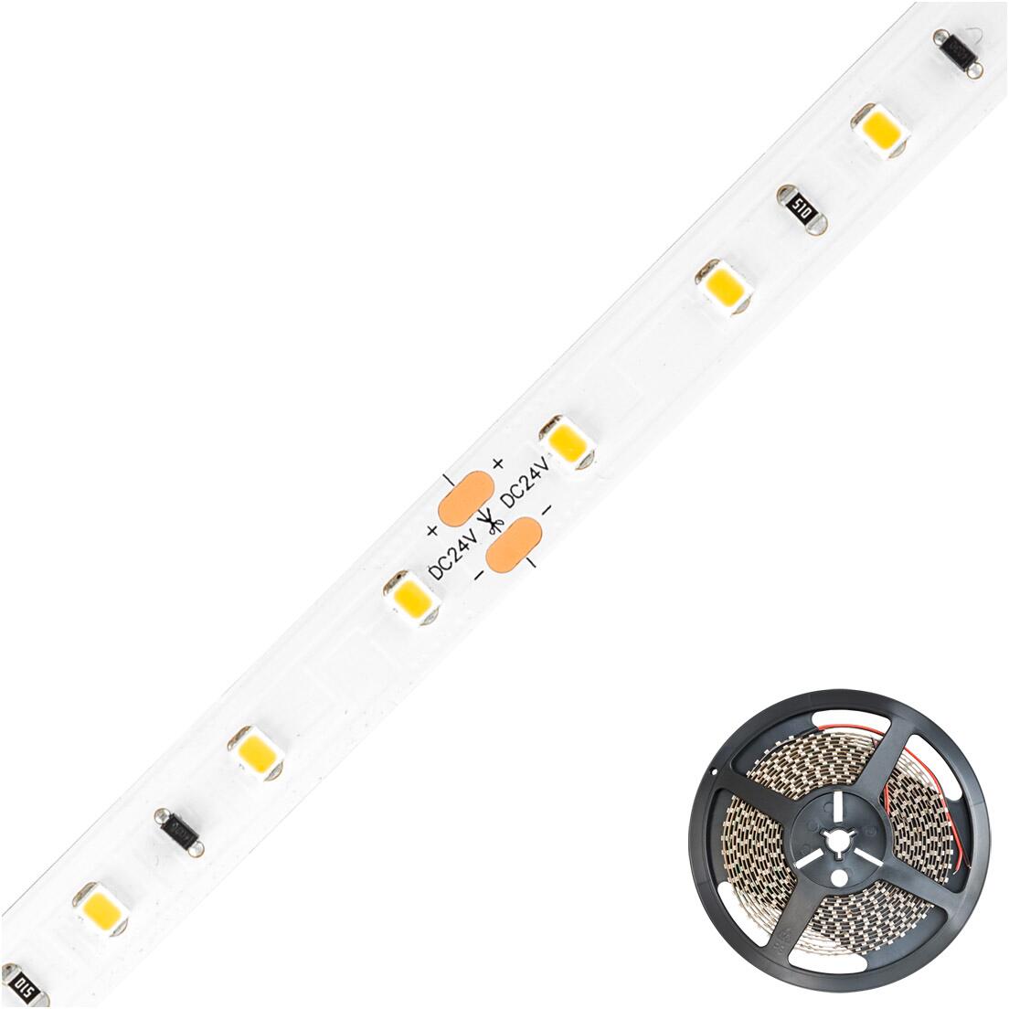 EVN LED-Strip, IP20, 24V/DC, 5W/m, 487lm/m, 60LED/m, 5m Rolle, 4000K, IC-Chips (ICSB2024302840)