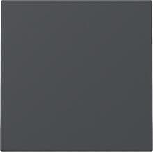 Gira 329628 Wippe, 1fach, System 55, Anthrazit (lackiert)