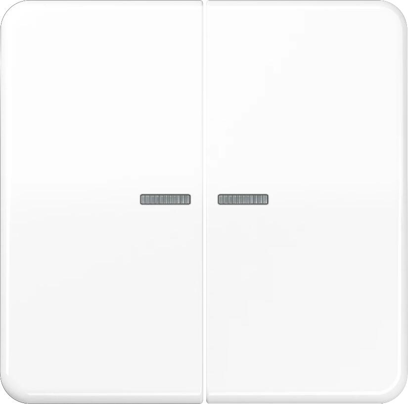 Jung HOME Taster 2fach, mit Lichtleiter, Duroplast, Serie CD, alpinweiß (BT CD 17102 WW)