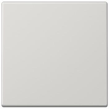 Jung LS101LG Wippe, Serie LS, lichtgrau